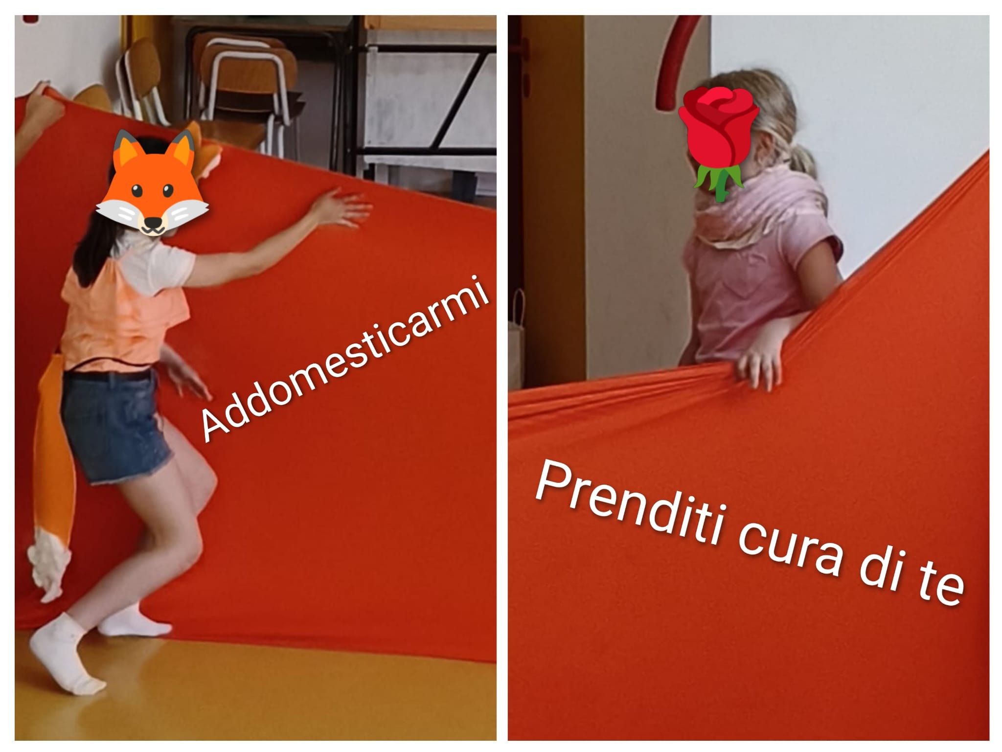 Immagini album